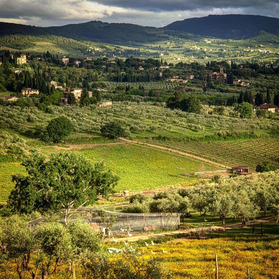 Agriturismo Fattoria Di Maiano Fiesole Exterior photo