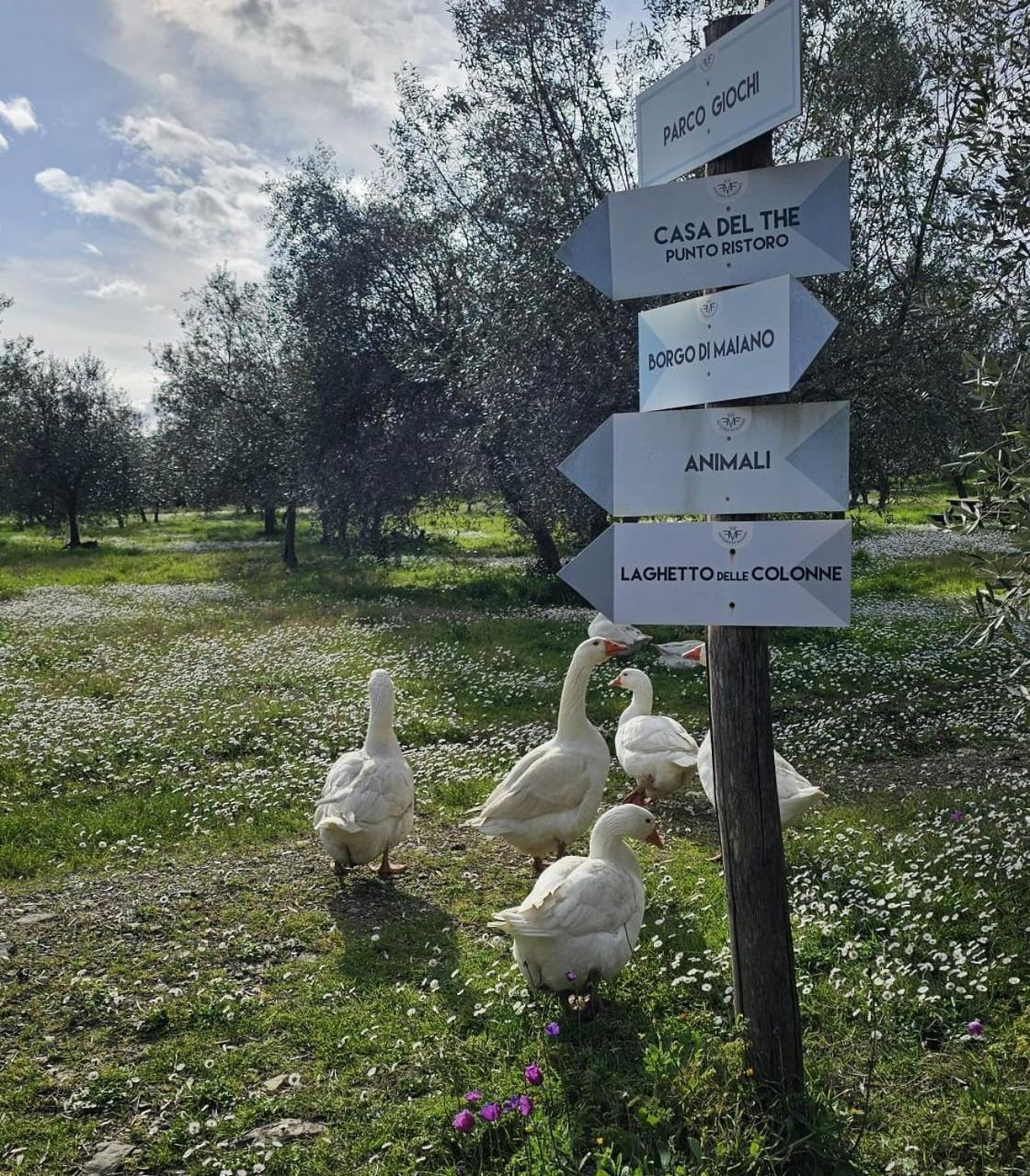 Agriturismo Fattoria Di Maiano Fiesole Exterior photo